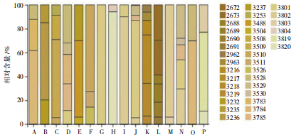 微信圖片_20250724093905